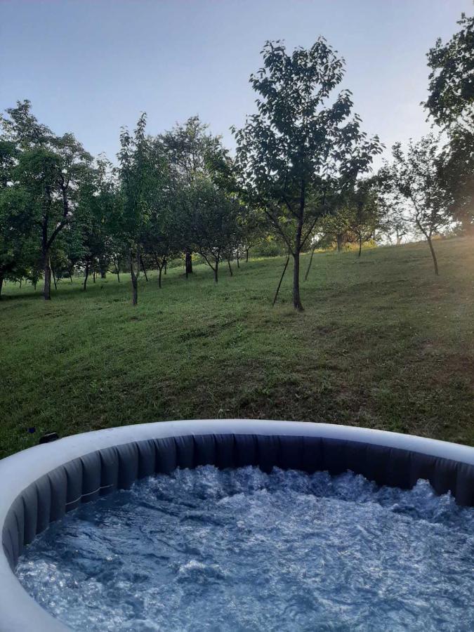 Country House Stoljetna Vila Seona Esterno foto