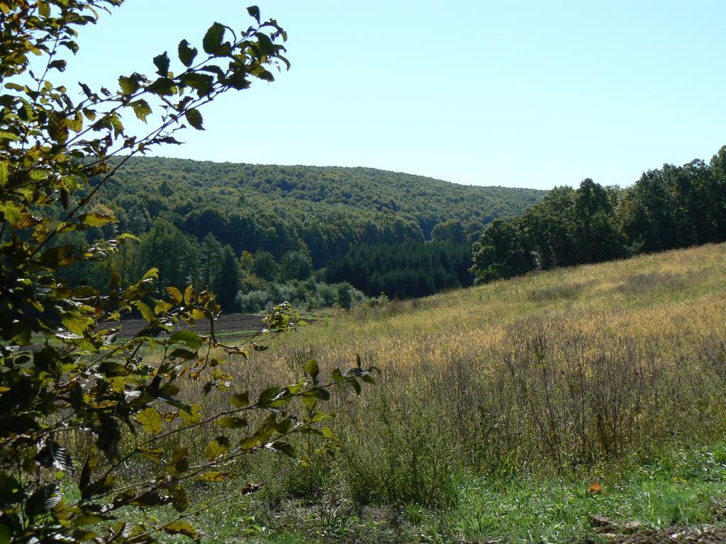 Country House Stoljetna Vila Seona Esterno foto