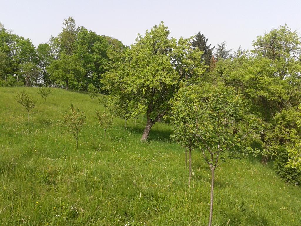 Country House Stoljetna Vila Seona Esterno foto