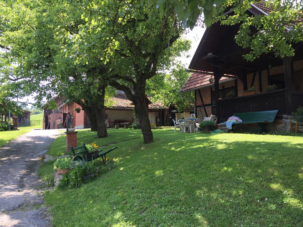 Country House Stoljetna Vila Seona Esterno foto